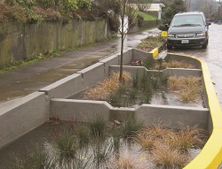 green street managing stormwater runoff